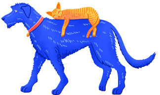 Sonogram illustration icon